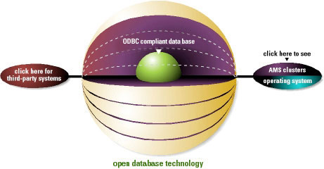 Database